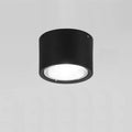 Nordic Cylinder Spotlight LED Flush Mount Ceiling Light